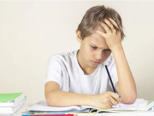 24 Struggling Student - School House canada